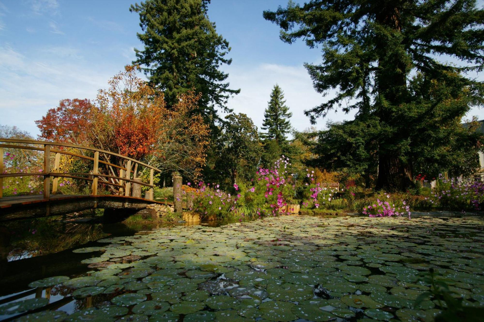 Отель Le Manoir De Bellerive Le Buisson-de-Cadouin Экстерьер фото